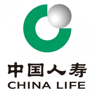 中国人寿售后服务支公司