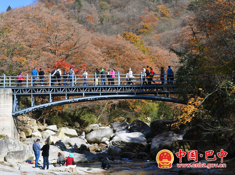 秋染光雾山红叶醉游人