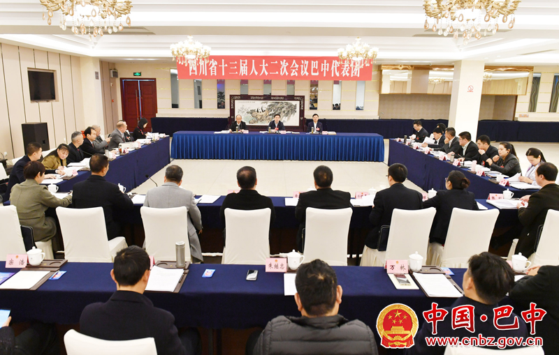 巴中代表团举行全体会议审议省人大常委会工作报告和法院工作报告
